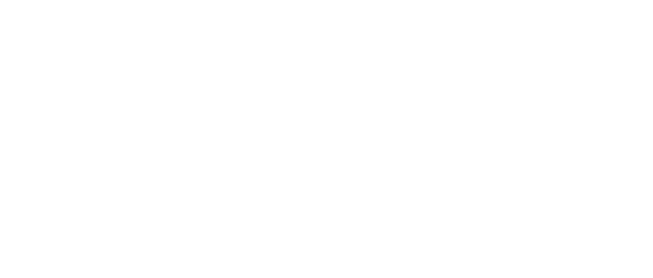 BMC logo